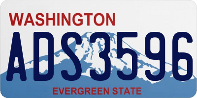 WA license plate ADS3596