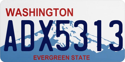 WA license plate ADX5313