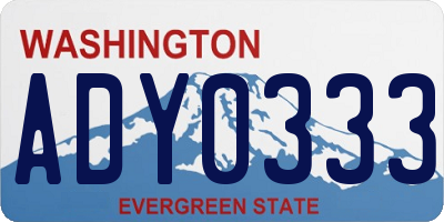 WA license plate ADY0333