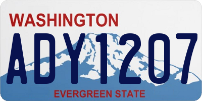 WA license plate ADY1207