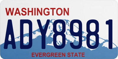 WA license plate ADY8981