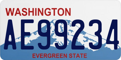 WA license plate AE99234