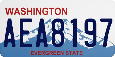 WA license plate AEA8197
