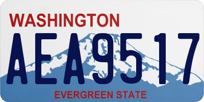 WA license plate AEA9517