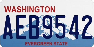WA license plate AEB9542