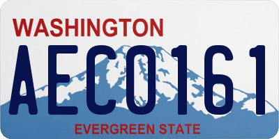 WA license plate AEC0161
