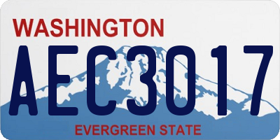WA license plate AEC3017