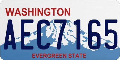 WA license plate AEC7165