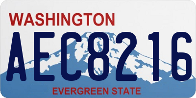 WA license plate AEC8216