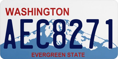 WA license plate AEC8271