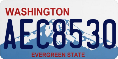 WA license plate AEC8530