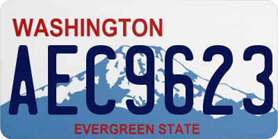 WA license plate AEC9623