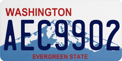 WA license plate AEC9902