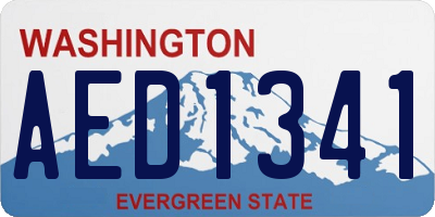 WA license plate AED1341