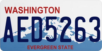 WA license plate AED5263