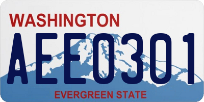 WA license plate AEE0301