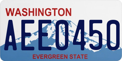 WA license plate AEE0450
