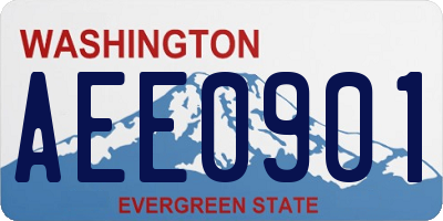 WA license plate AEE0901