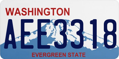 WA license plate AEE3318