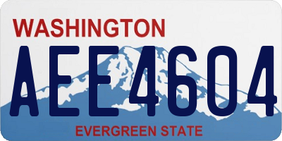 WA license plate AEE4604