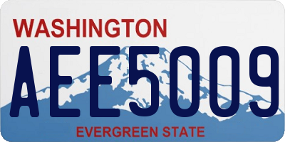 WA license plate AEE5009