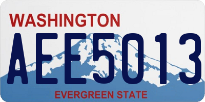 WA license plate AEE5013