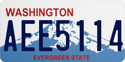 WA license plate AEE5114