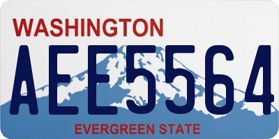 WA license plate AEE5564
