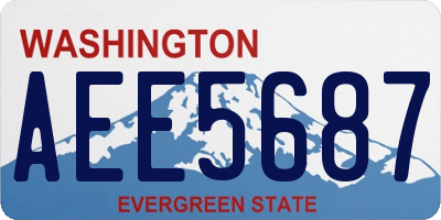WA license plate AEE5687