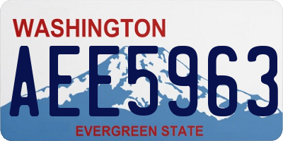 WA license plate AEE5963