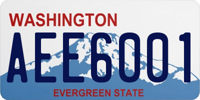 WA license plate AEE6001