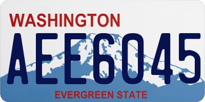 WA license plate AEE6045
