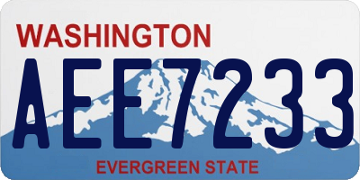 WA license plate AEE7233