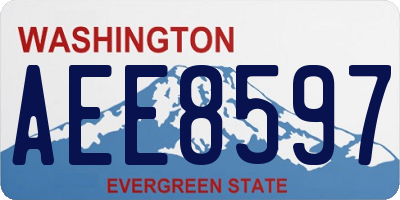 WA license plate AEE8597