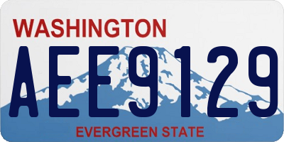 WA license plate AEE9129