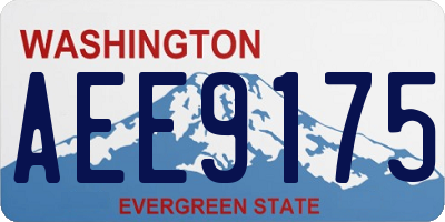 WA license plate AEE9175