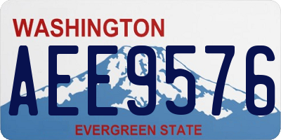 WA license plate AEE9576