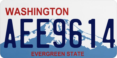 WA license plate AEE9614