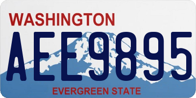 WA license plate AEE9895
