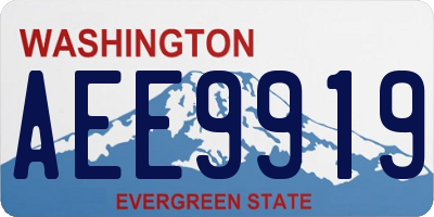 WA license plate AEE9919