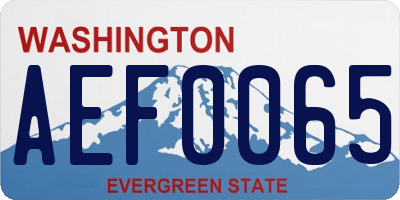 WA license plate AEF0065