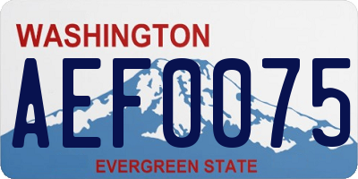 WA license plate AEF0075