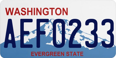 WA license plate AEF0233