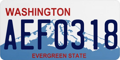 WA license plate AEF0318