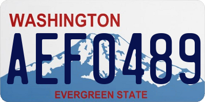 WA license plate AEF0489