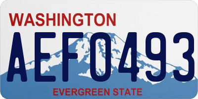 WA license plate AEF0493