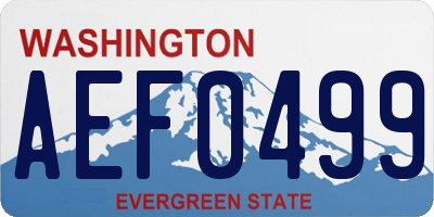 WA license plate AEF0499
