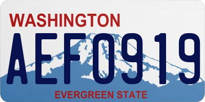WA license plate AEF0919