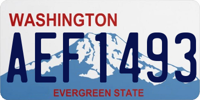 WA license plate AEF1493