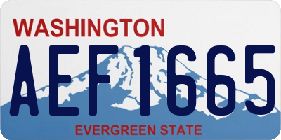 WA license plate AEF1665
